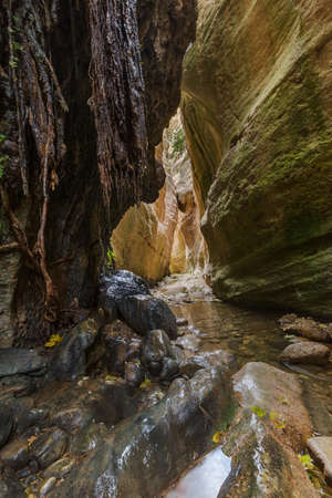 Avakas canyon in Cyprus island at Paphos - travel backgroundの写真素材