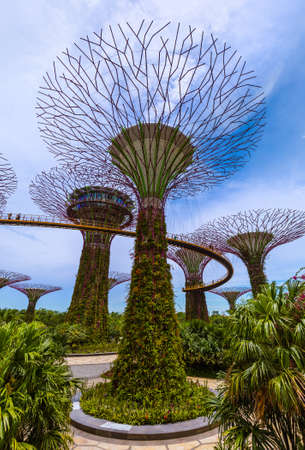 Park Gardens by the Bay in Singapore - nature and travel backgroundのeditorial素材