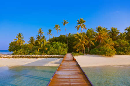 Tropical Maldives island - nature travel backgroundの写真素材