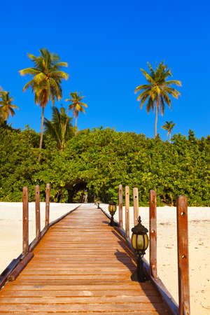 Tropical Maldives island - nature travel backgroundの写真素材