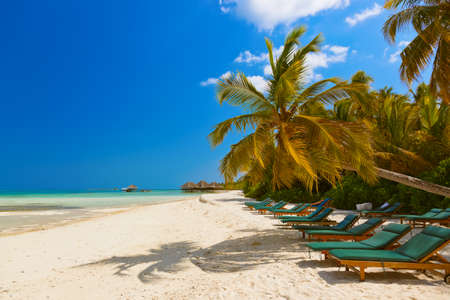 Sunbed on Maldives beach - nature vacation backgroundの写真素材