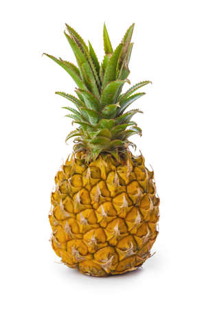 Ripe pineapple isolated on white backgroundの写真素材