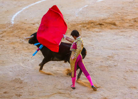 MOITA LISBON, PORTUGAL - SEPTEMBER 14: Matador and bull in tourada bullfight on September 14, 2016 in Moita Lisbon, Portugal.のeditorial素材