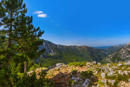 River Tara canyon - Montenegro - nature travel background