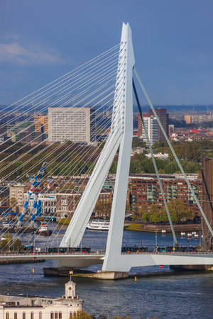 Rotterdam cityscape - Netherlands - architecture backgroundの写真素材