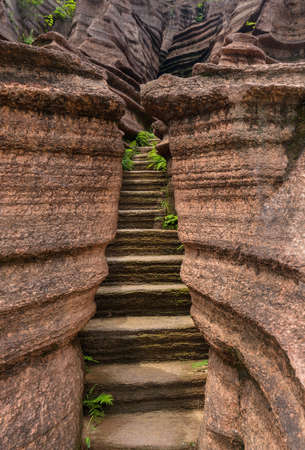 Park of red stones Hongshilin - Hunan China - nature backgroundの写真素材