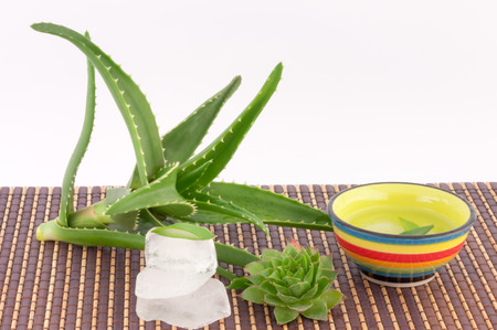 aloe vera ice and aloe juice on a white backgroundの写真素材
