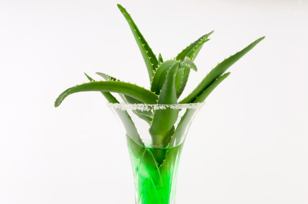 aloe vera in a cocktail glass on a white backgroundの写真素材