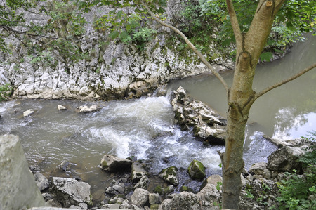 Bigar river bed in Beusnita National Park from Romaniaの写真素材