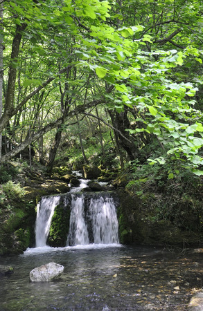 Bigar Falls in Beusnita National Park from Romaniaの写真素材