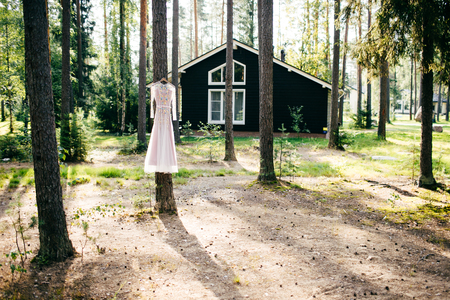 Wedding dress in the woodsのeditorial素材