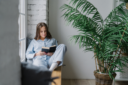 Shot of serious concentrated female student focused into textbook, wears pyjamas, sits on window sill in cozy room with green plant, prepares for classes. People, reading and coziness conceptの写真素材