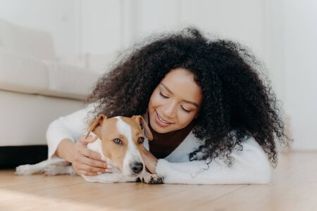 Relaxed Afro woman with crisp dark hair lies on floor, plays with cute puppy, has fun with jack russell terrier dog wears white sweater being in living room. Happy owner petting lovely domestic animalの写真素材