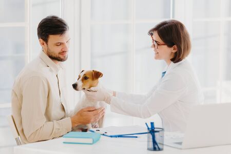 Shot of female vet takes care of beautiful pedigree dog in clinic, gives good treatment, examines animal, talks and gives advice to owner, pose at desktop in cabinet. Medicine and animals conceptの写真素材