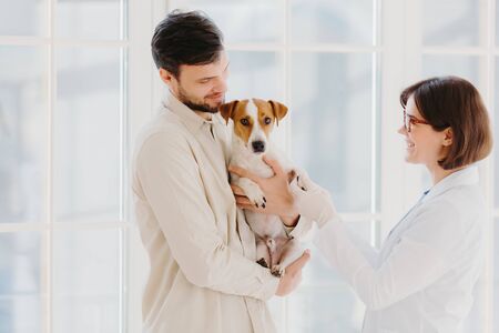 Horizontal shot of caring dog owner carries pet on hands, shows to animal specialist. Jack russell terrier being examined by vet in private clinic, stand indoor against window. Vet examiningの写真素材