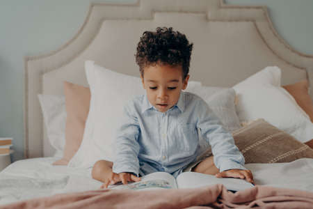 Intrigued cute afro american boy preschool child with curly hair reading book or exploring pictures inside while sitting comfortably on bed, making surprised expression. Children development conceptの写真素材
