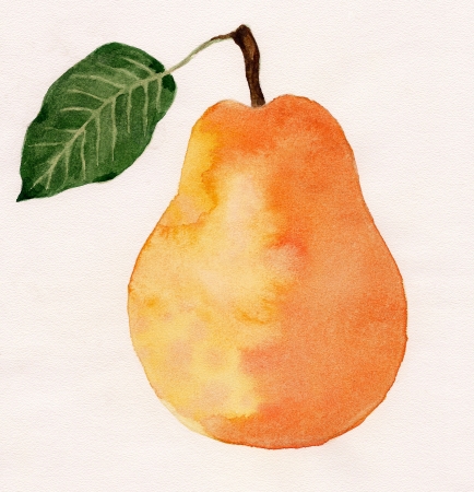 pear, watercolor paintingの写真素材