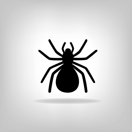 black spider on a white illustrationのイラスト素材