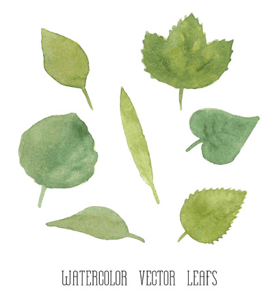 Vector set of green watercolor leaves of plantsのイラスト素材