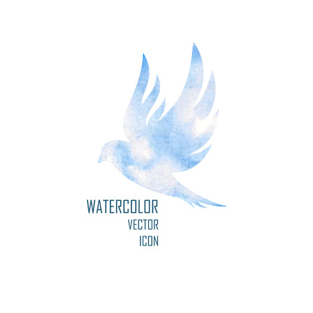 bird. dove,  isolated with expanded wings on white backgroundのイラスト素材