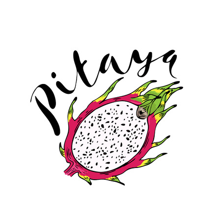 The fruit of pitahaya on a white background with the word Pitaya.のイラスト素材