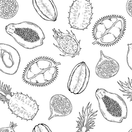 Pattern of exotic fruits. On a white background.のイラスト素材