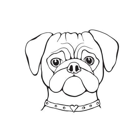 Head Dog pug hand-painted portrait. Black and white. Outline. For tshirt, poster, cardのイラスト素材