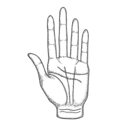 The left hand of a man with lines. Vector illustration in vintage style, black and white, hand drawn. Graphics.のイラスト素材