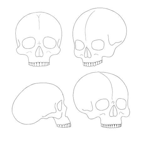 A human skull on a white background with a single line.のイラスト素材