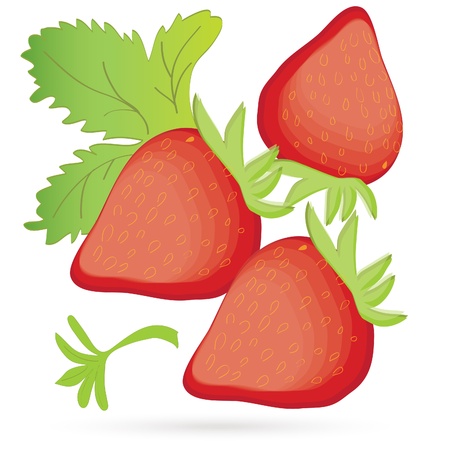 Illustrations of a bunch of fresh strawberriesのイラスト素材