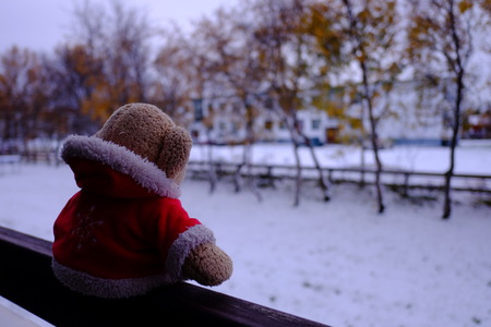 christmas bear aloneの写真素材