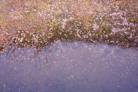 beautiful lake backgroundの写真素材