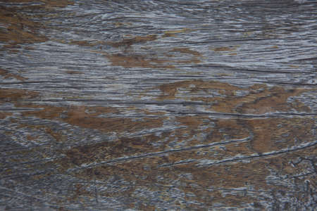 wooden textureの写真素材