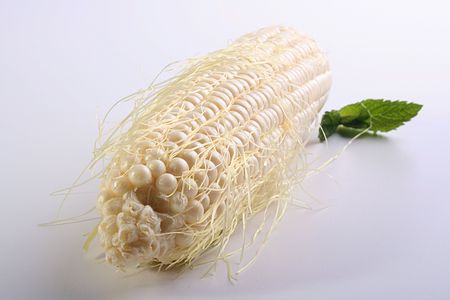 Ear of crude corn on a white rough kitchen table.の写真素材