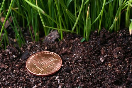 The lost coin in one cent against a grass.の写真素材