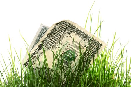 Loss of money in a high grass.の写真素材