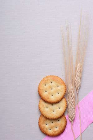 Fresh cookies strewed by salt on a grey background with a dry cone.の写真素材