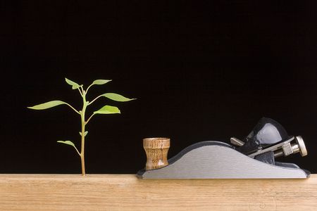 Young tree next to a handplane on a black background.