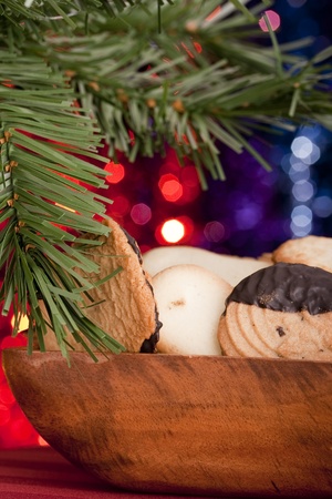 Christmas theme. Motley-colored background with a Christmas tree branch.の写真素材