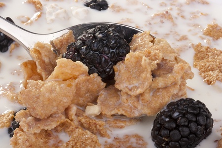 Light morning meal from cereals with berries of a blackberry and milk, in a coffee cup.の写真素材