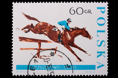Poland - CIRCA 1967: A stamp is printed in Poland, horse, let out CIRCA in 1967.の写真素材