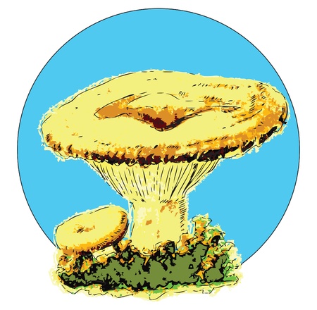 illustration of milk mushroom, edible fungusのイラスト素材