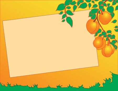 Vector illustration of peaches on a tree in the background.のイラスト素材