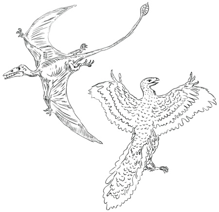 illustration of a pterodactyl and ancient birds.のイラスト素材