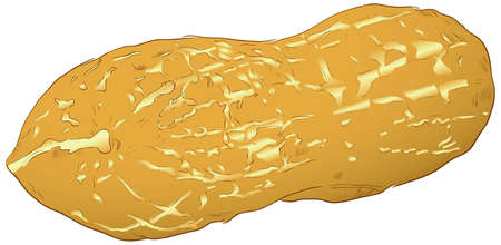 Figure peanut, nut popular in the food industry. illustration.のイラスト素材
