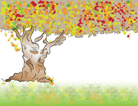 Autumn. Old tree with deciduous foliage.のイラスト素材