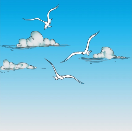 Seagulls flying in the clouds.のイラスト素材