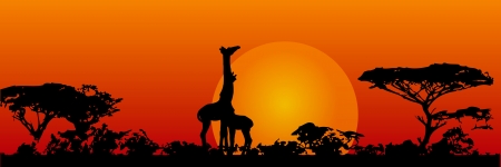 The nature of the savannah. Giraffes in the sun.  illustration.のイラスト素材