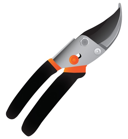 Garden shears for pruning trees and shrubs. のイラスト素材