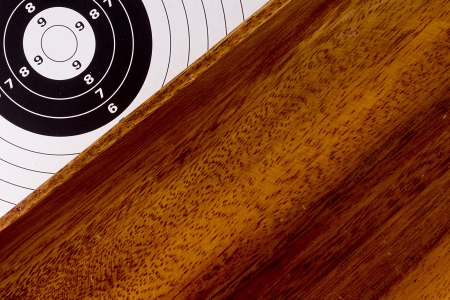 The target for shooting with bullet tray bullets.